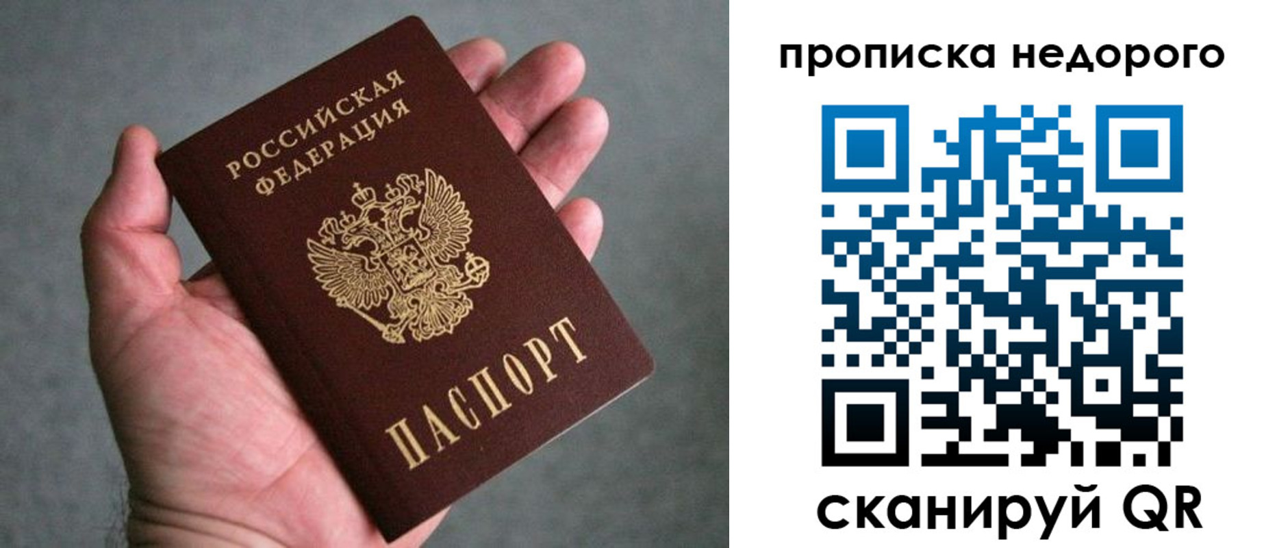 прописка поиск в Куровском